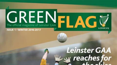 Leinster GAA – Green Flag