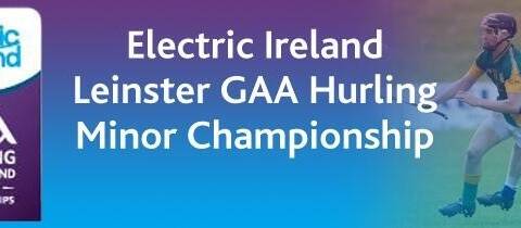 Leinster MHC – Group Ticket Information.