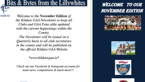 Bits & Bytes from the Lillywhites – November Newsletter