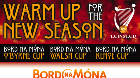 Bord Na Mona Leinster GAA Series