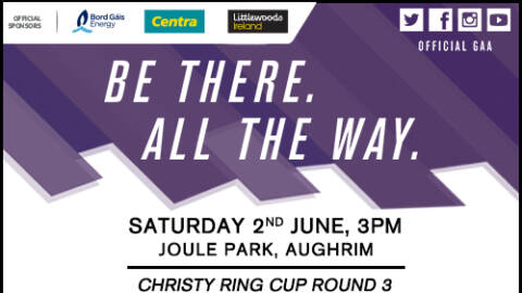Christy Ring & Leinster Minor Hurling Action
