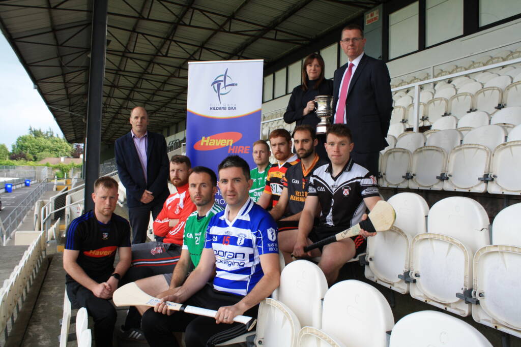 Haven Hire Intermediate Hurling Championship