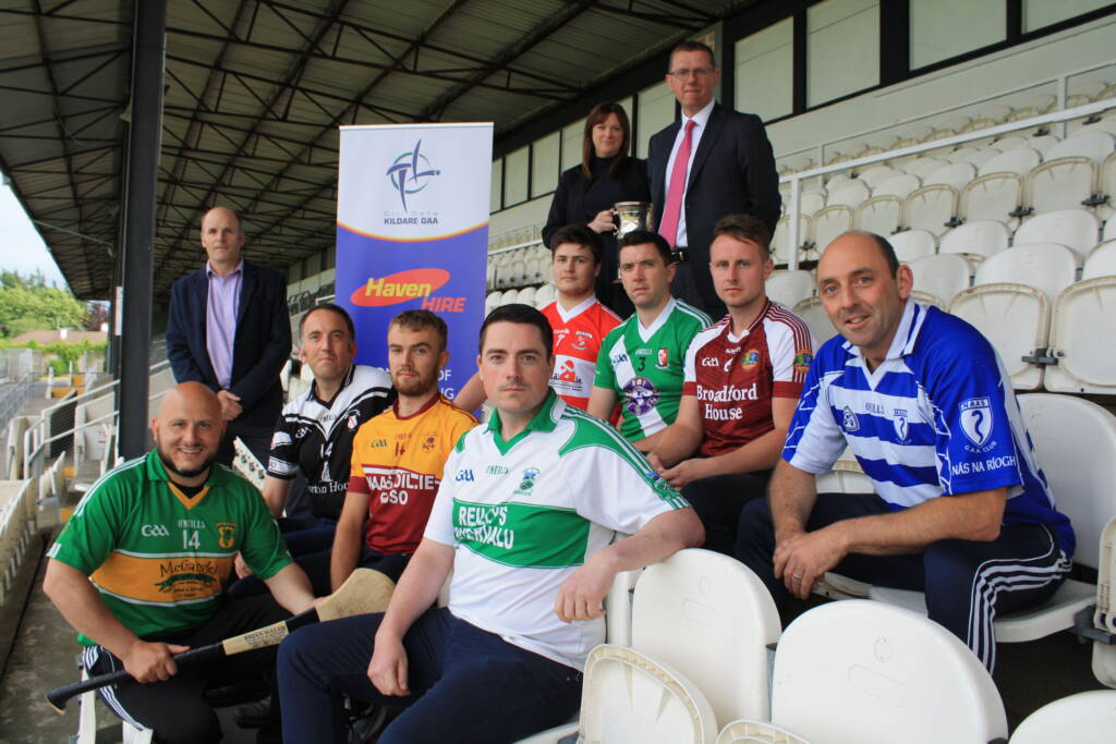 Haven Hire Junior Hurling Championship
