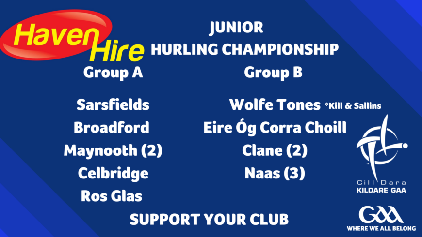 Haven Hire Junior Hurling Championship Programmes