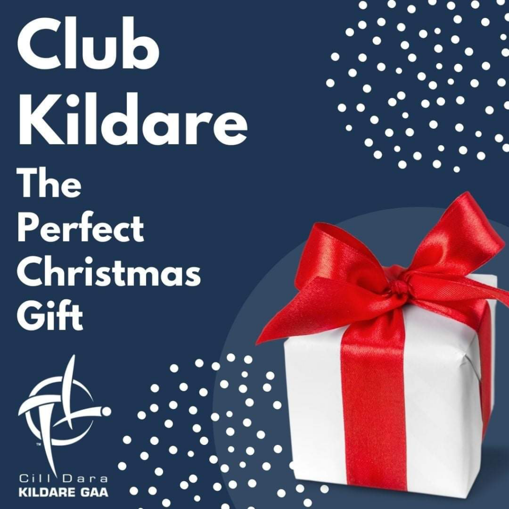 The Perfect Christmas Present
