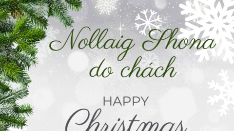 Nollaig Shona do chách – Happy Christmas from all at Kildare GAA