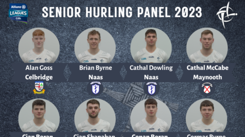 Kildare Senior Hurling Panel Allianz Hurling League 2023