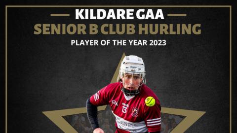 Congratulations to Darragh Melville of Leixlip GAA who has received the 2023 Kildare GAA Senior B Club Hurling Player of the Year.