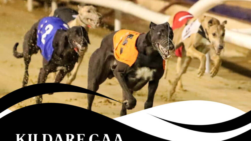 Night at the Dogs