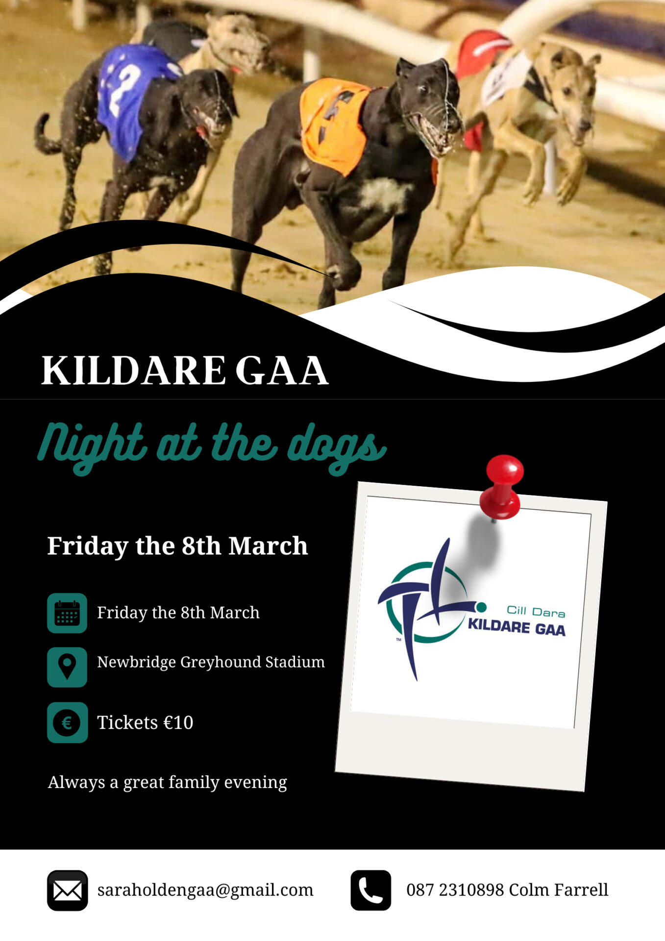 Night at the Dogs