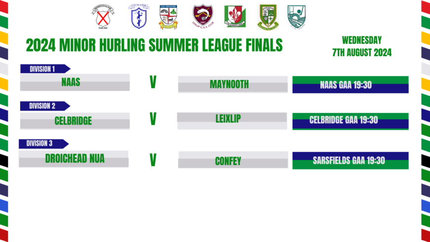 2024 Minor Hurling Summer League Finals