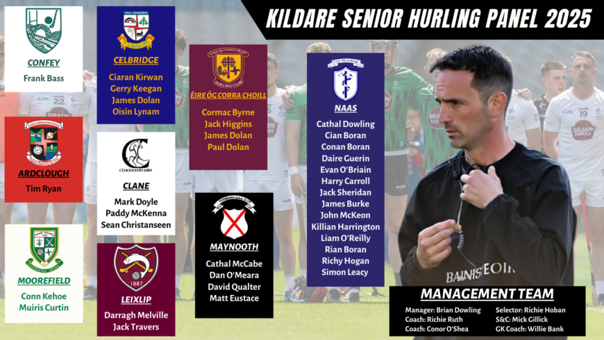 Kildare Senior Hurling Panel 2025